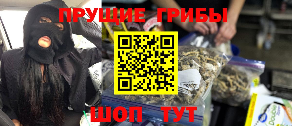 Галлюциногенные грибы Psilocybine cubensis Советский